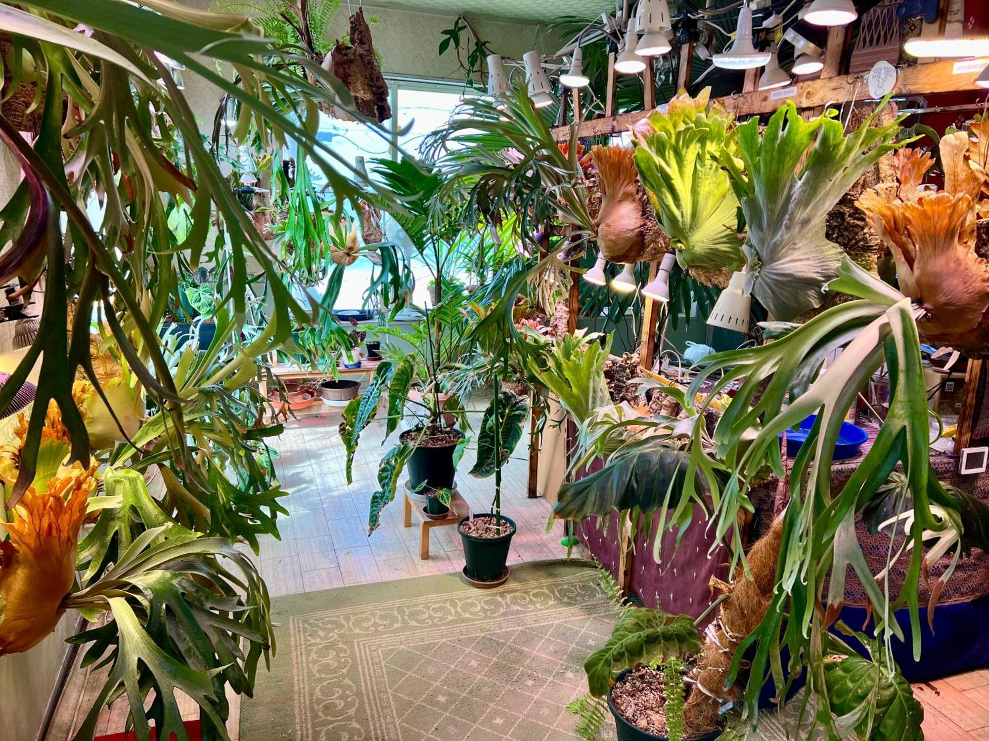 קיטאנגו レンタルコテージサントロペ מראה חיצוני תמונה