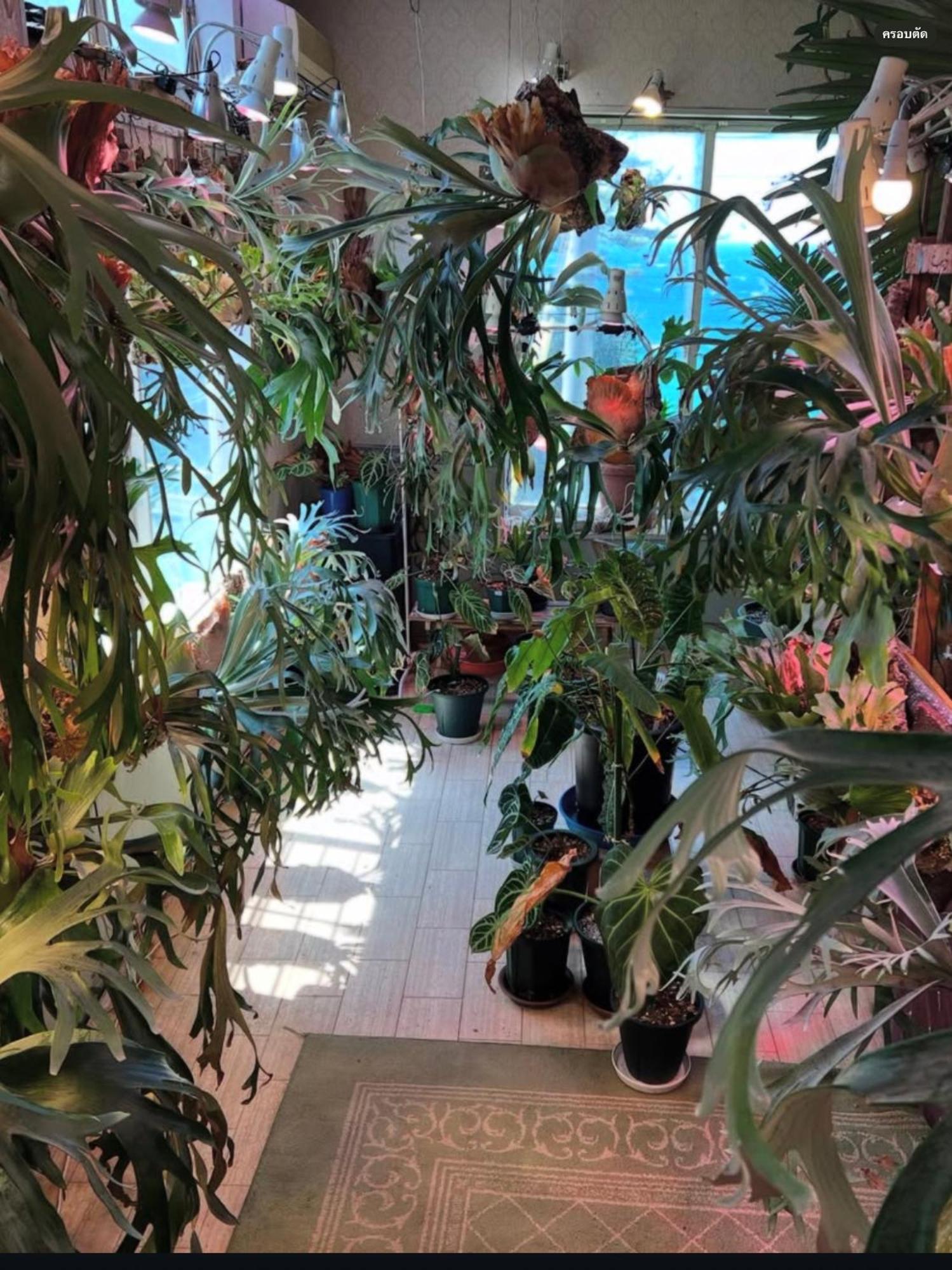 קיטאנגו レンタルコテージサントロペ מראה חיצוני תמונה
